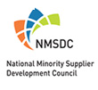 nmsdc badge