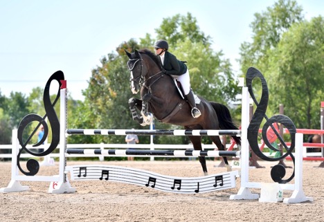 photo of women and horse Equine