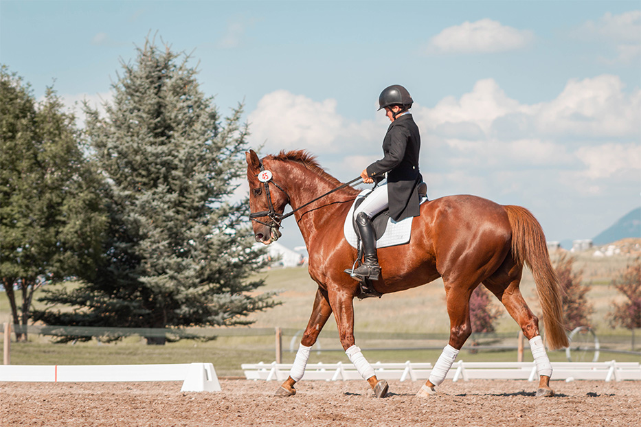 Woman wearing black sports jacket and riding boots riding a chestnut brown dressage horse in the ring