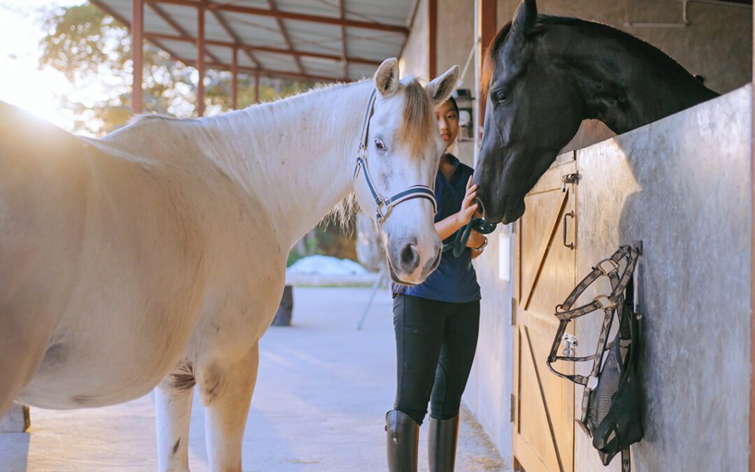 Lovely young Asian woman stroking and petting horse.